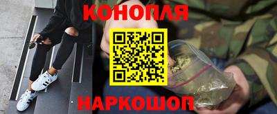 гидра Заволжье