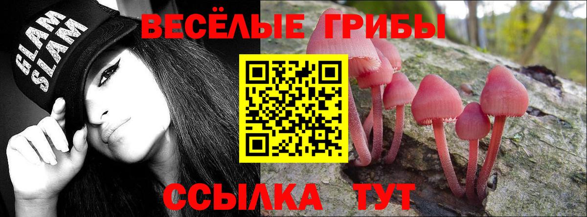 Галлюциногенные грибы Psilocybine cubensis  Галлюциногенные грибы прущие грибы  Вход с VPN  Лыткарино 